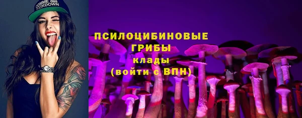 хмурый Михайловка