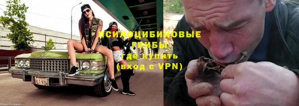 спайс Михайлов