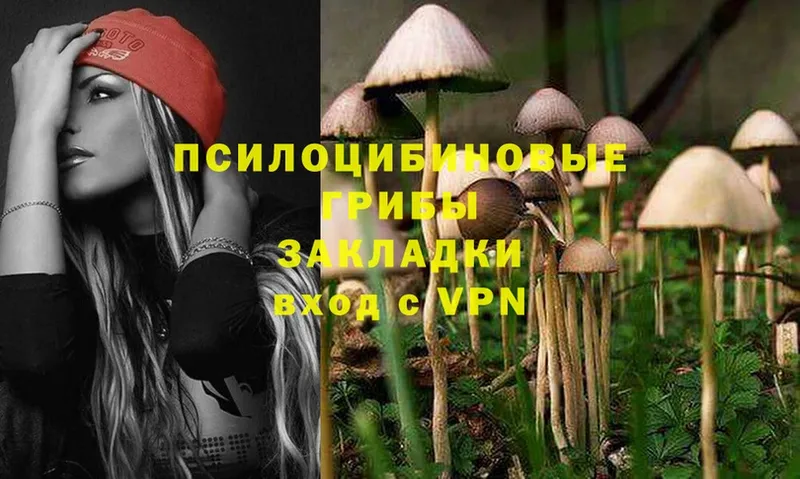 Галлюциногенные грибы Cubensis  Жигулёвск 