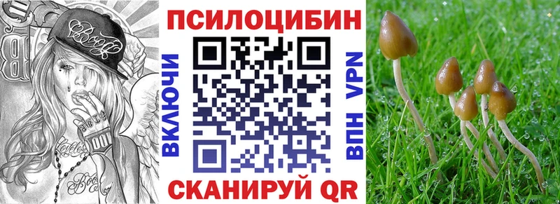 Галлюциногенные грибы Cubensis omg вход Жигулёвск